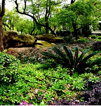 龍虎山迪克森莊園